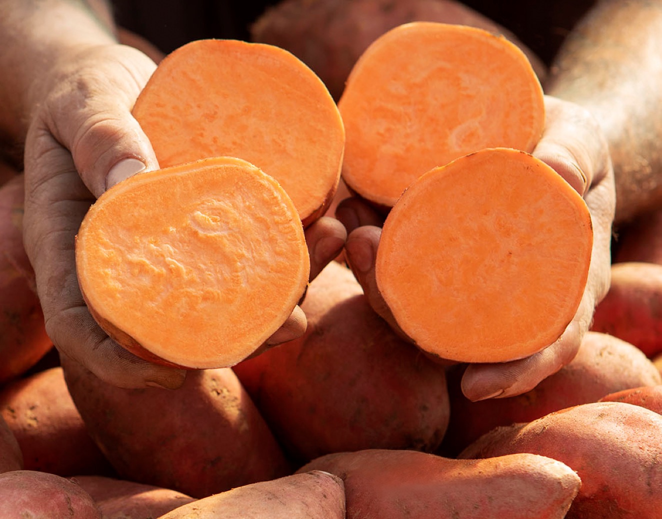 vitamin B7 có trong thực phẩm nào?