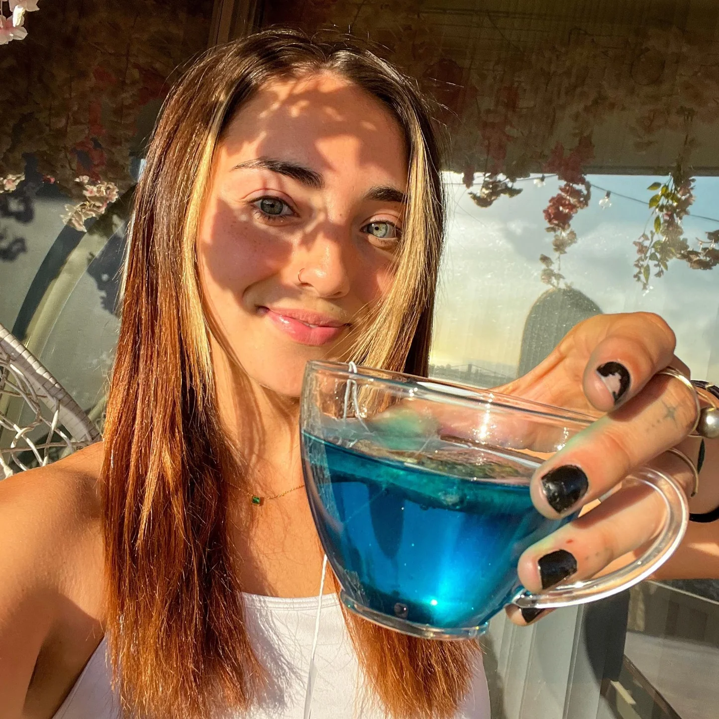 Uống nước hoa đậu biếc có tác dụng gì?