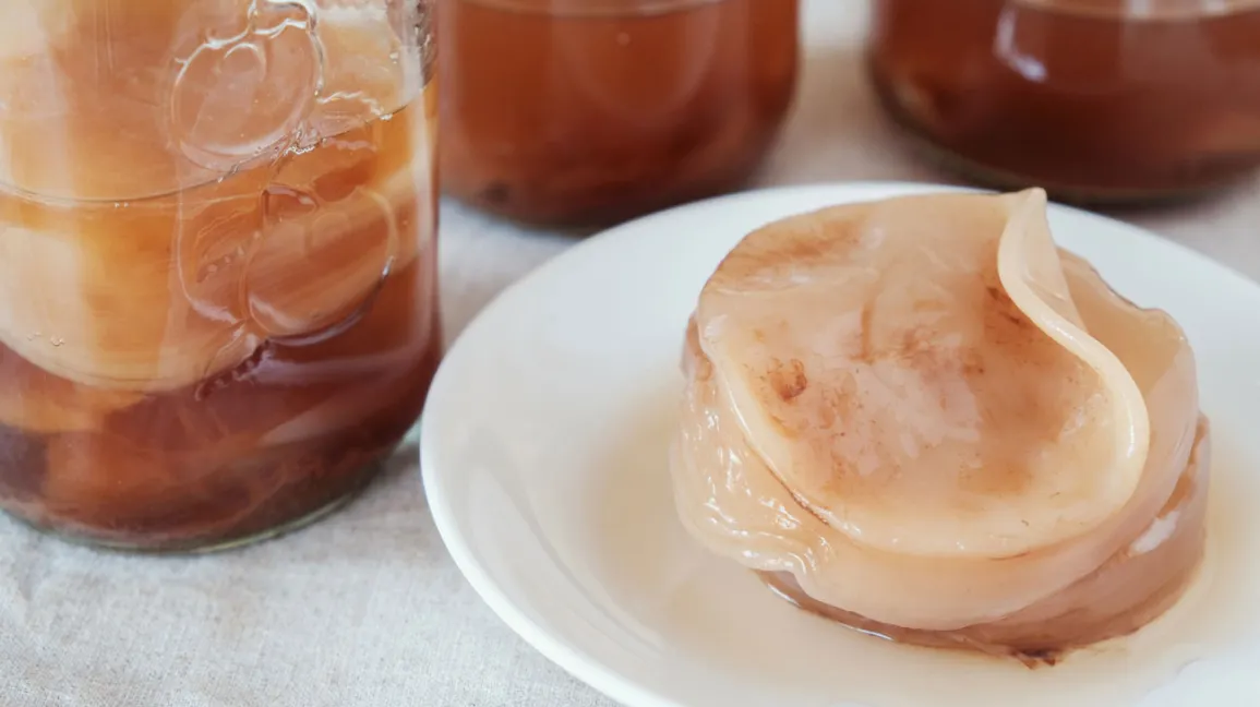 cách làm kombucha