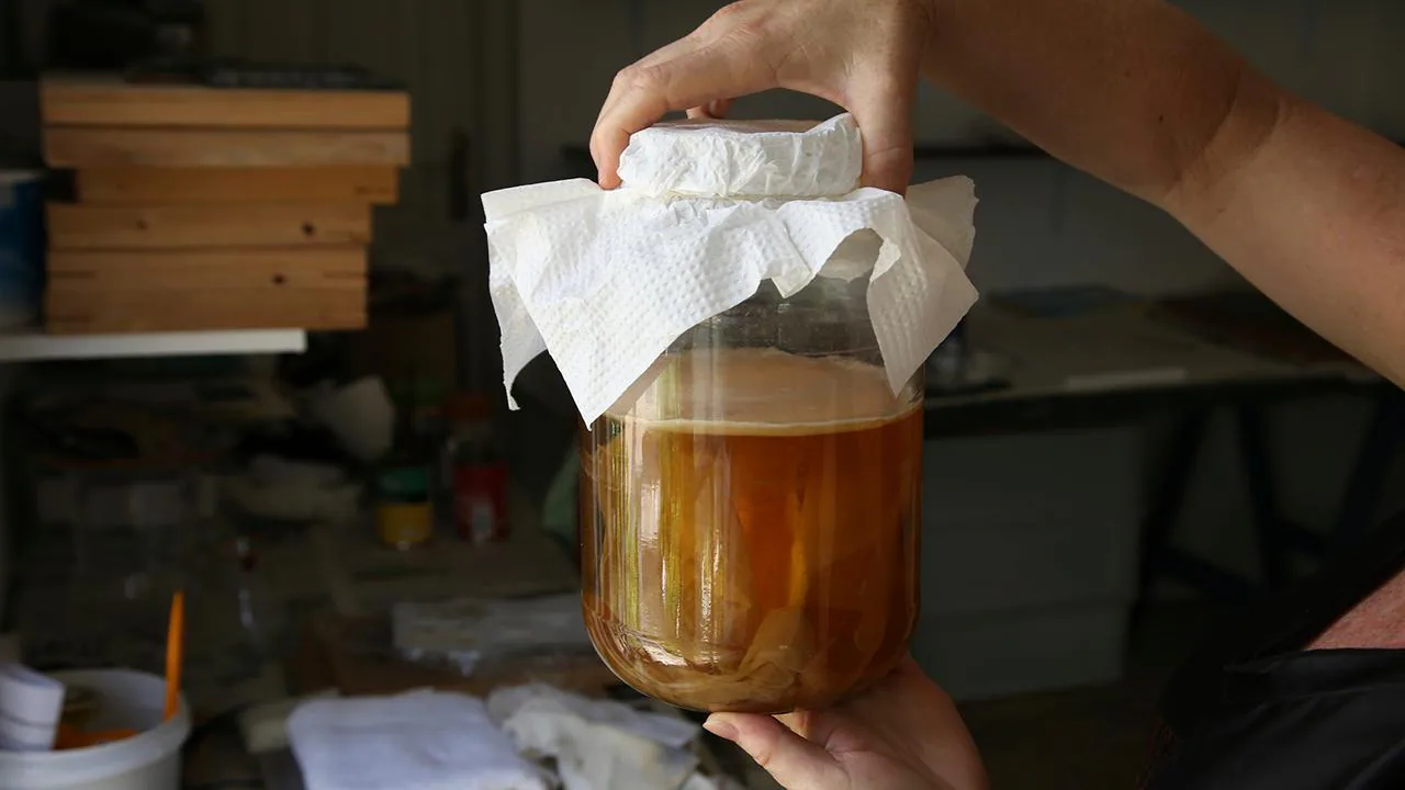 cách làm kombucha