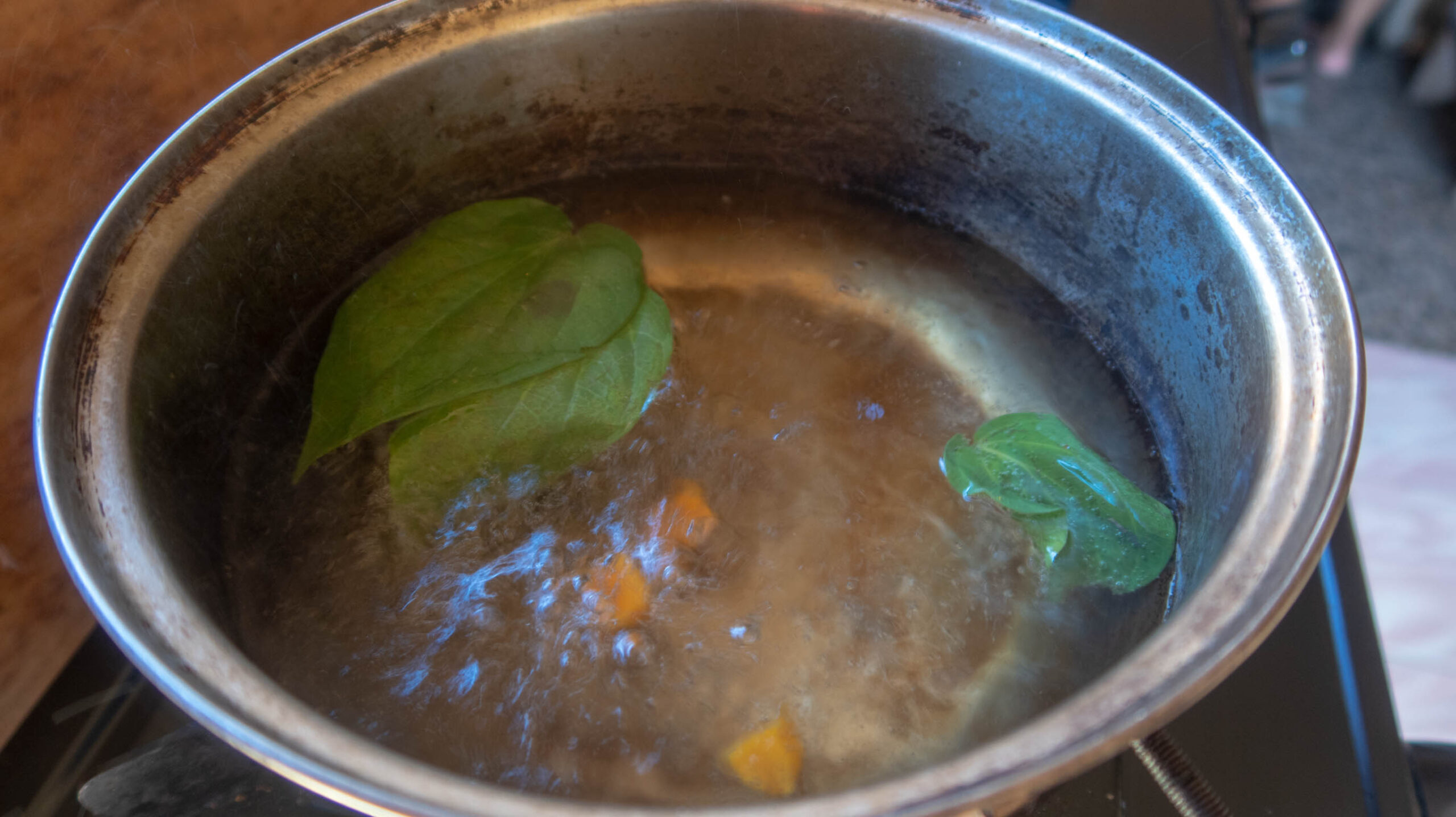 cách chữa đau mắt đỏ bằng lá trầu không