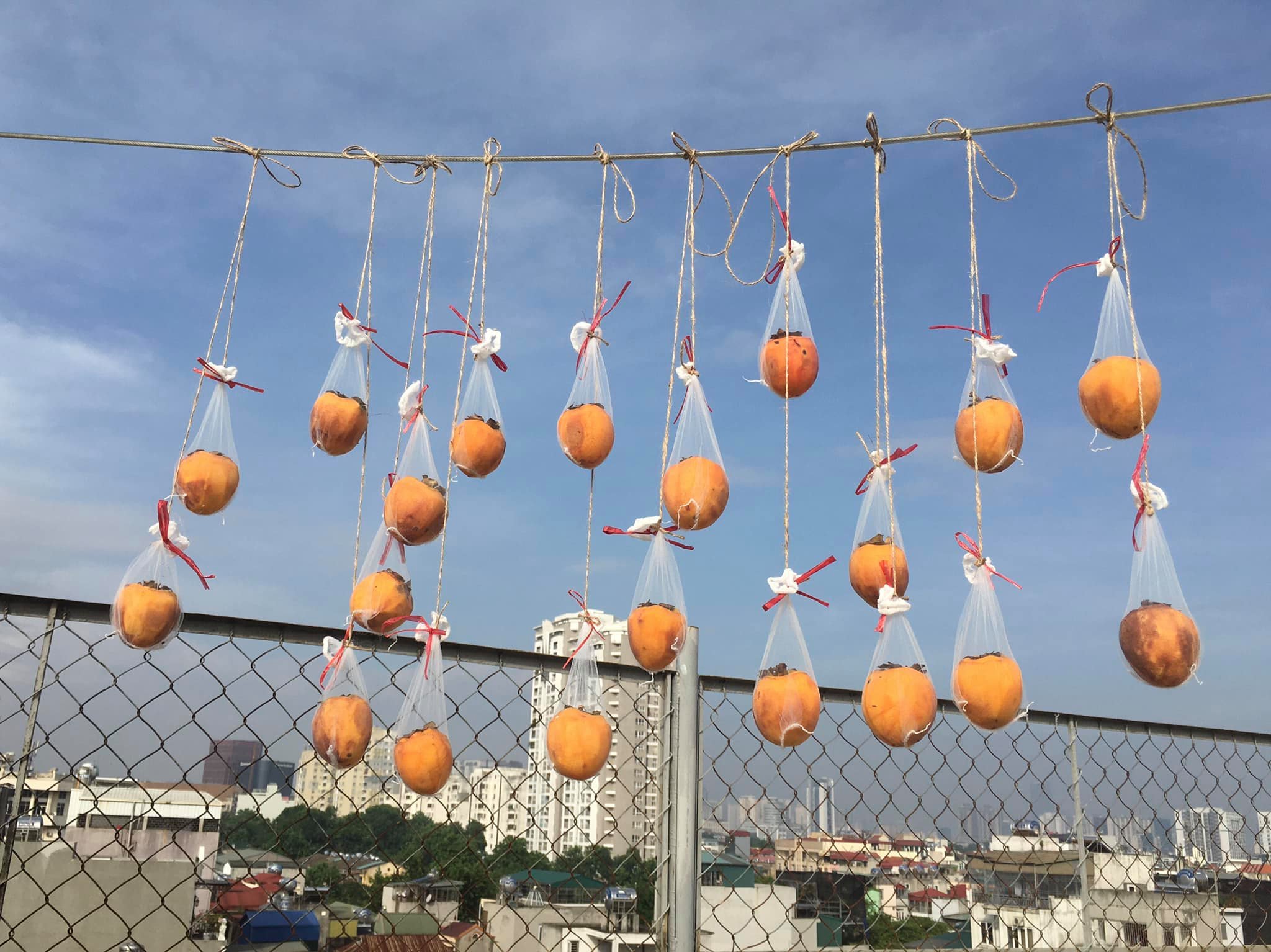 cách làm hồng treo gió