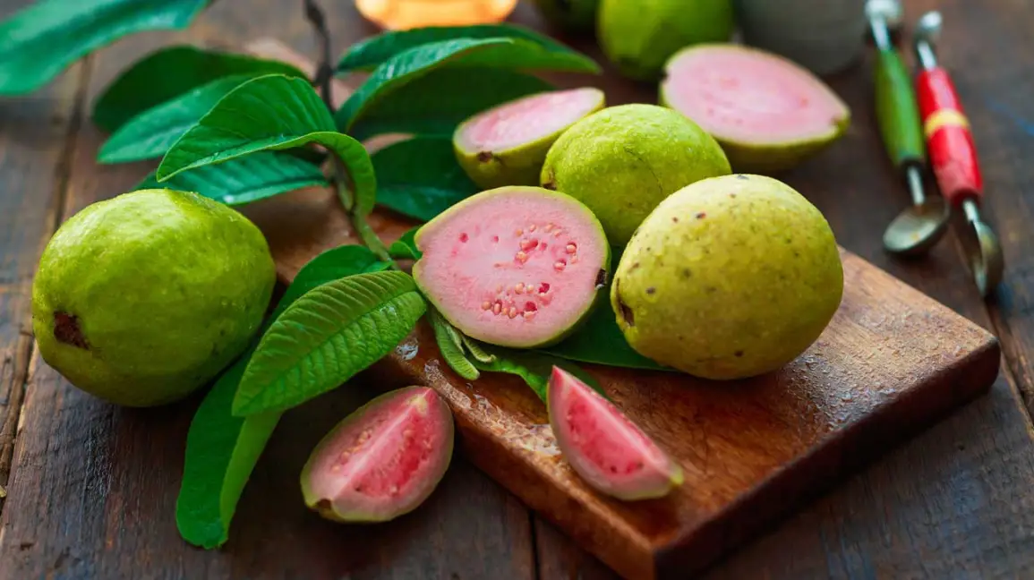 uống nước lá ổi có tác dụng gì