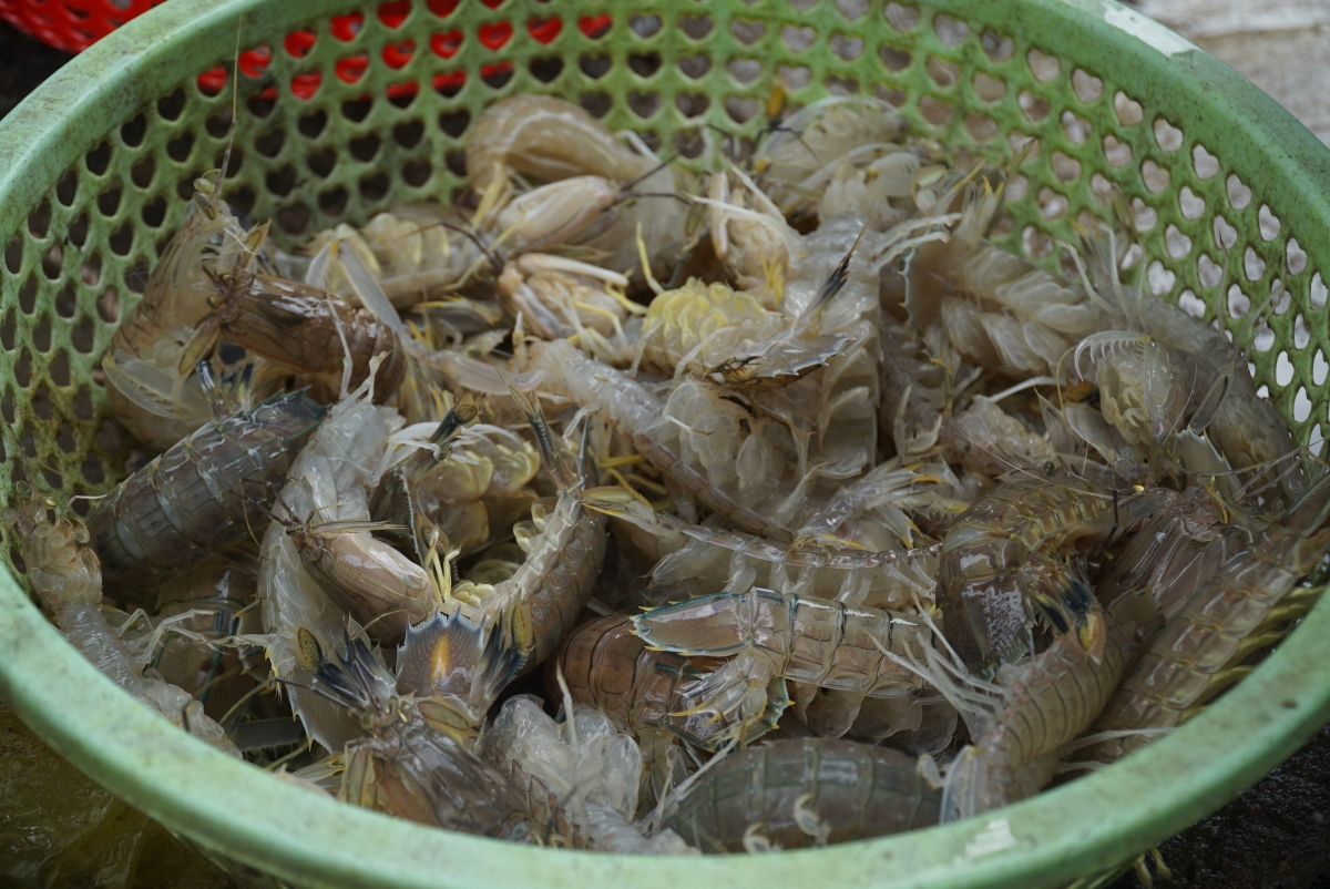 cách làm bề bề rang me