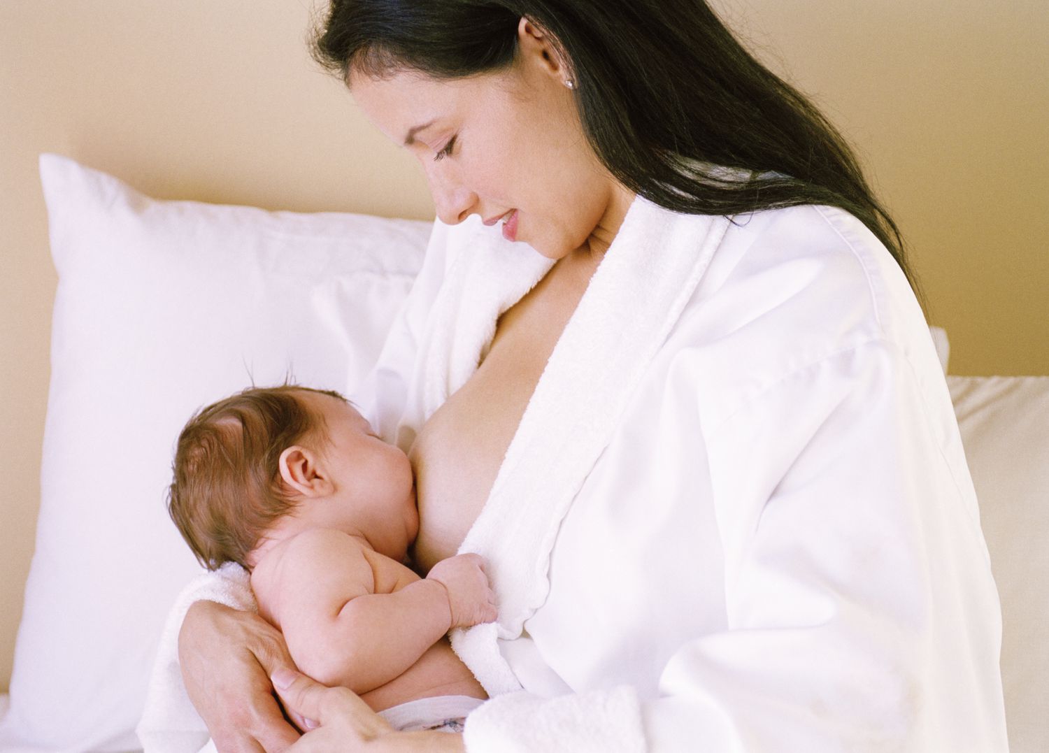 Uống lá đinh lăng có tác dụng gì