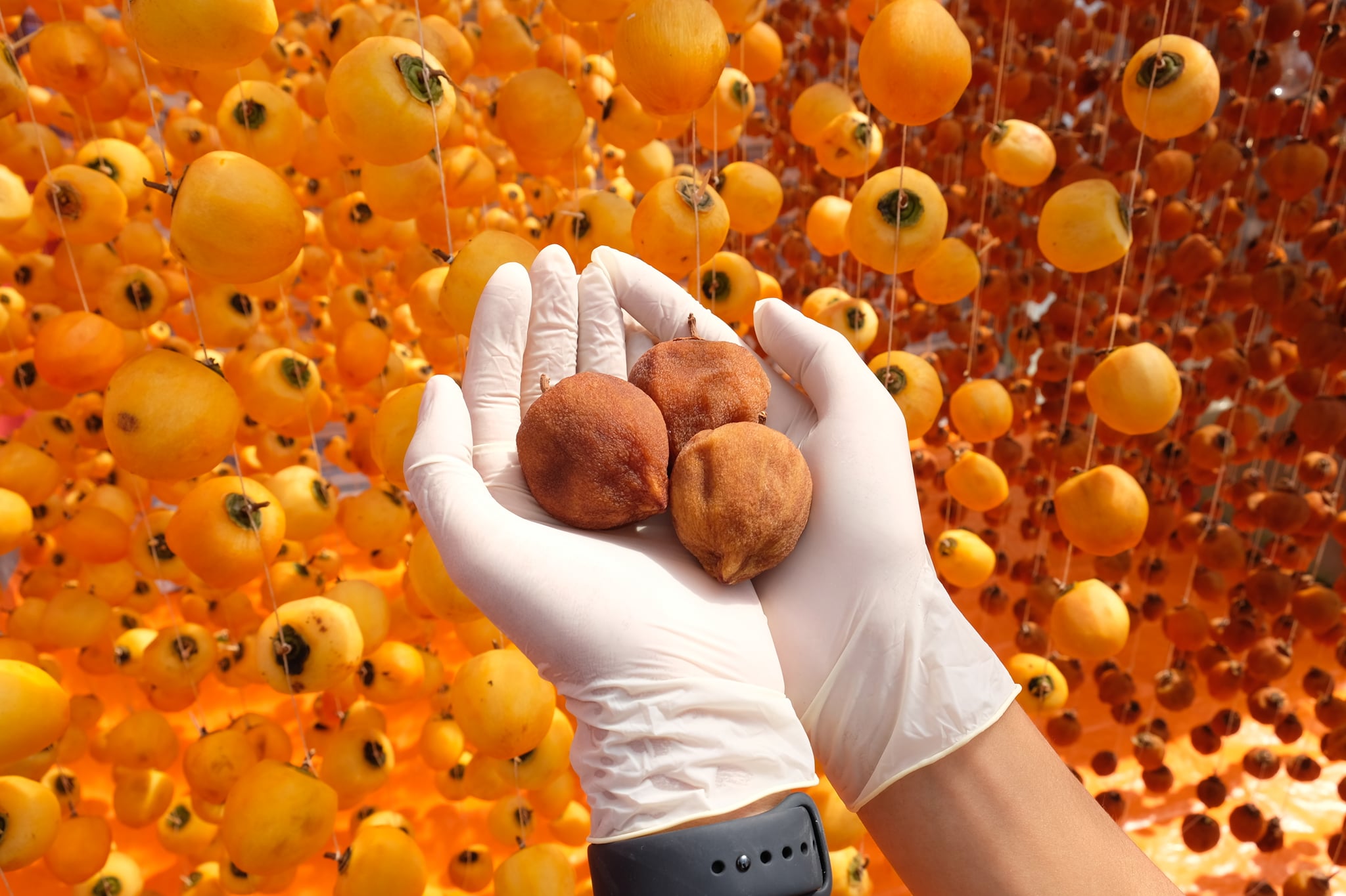 cách làm hồng treo gió