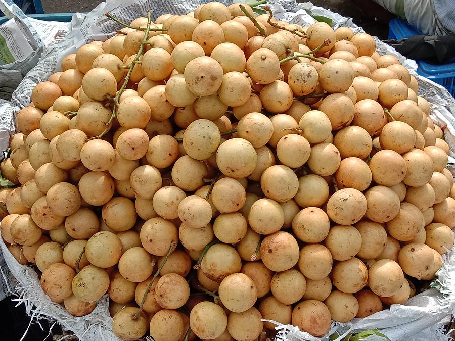 Bà bầu có ăn được quả bòn bon không?