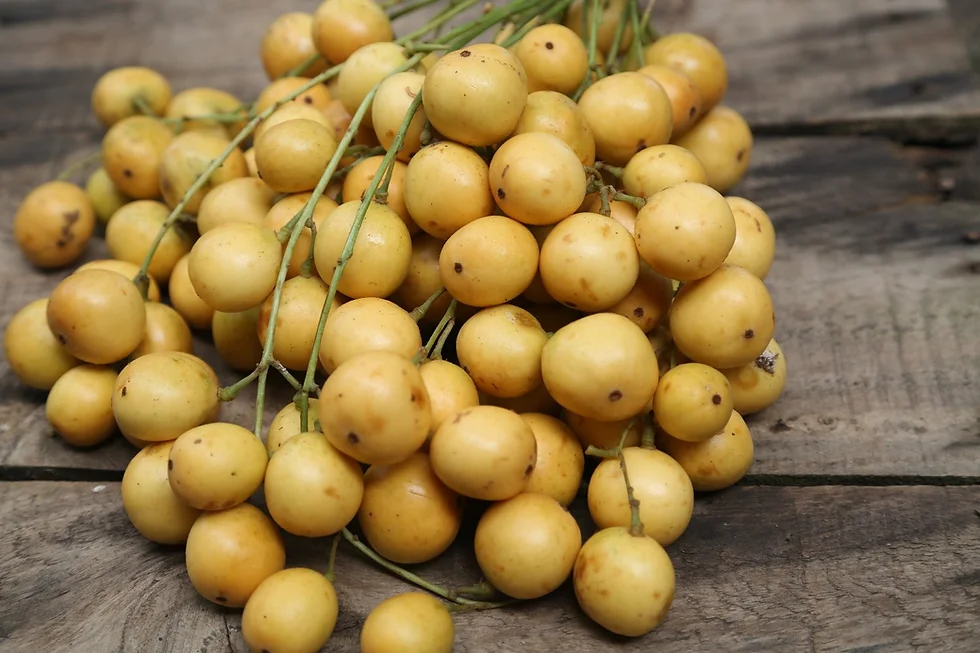 Bà bầu có ăn được quả bòn bon không?