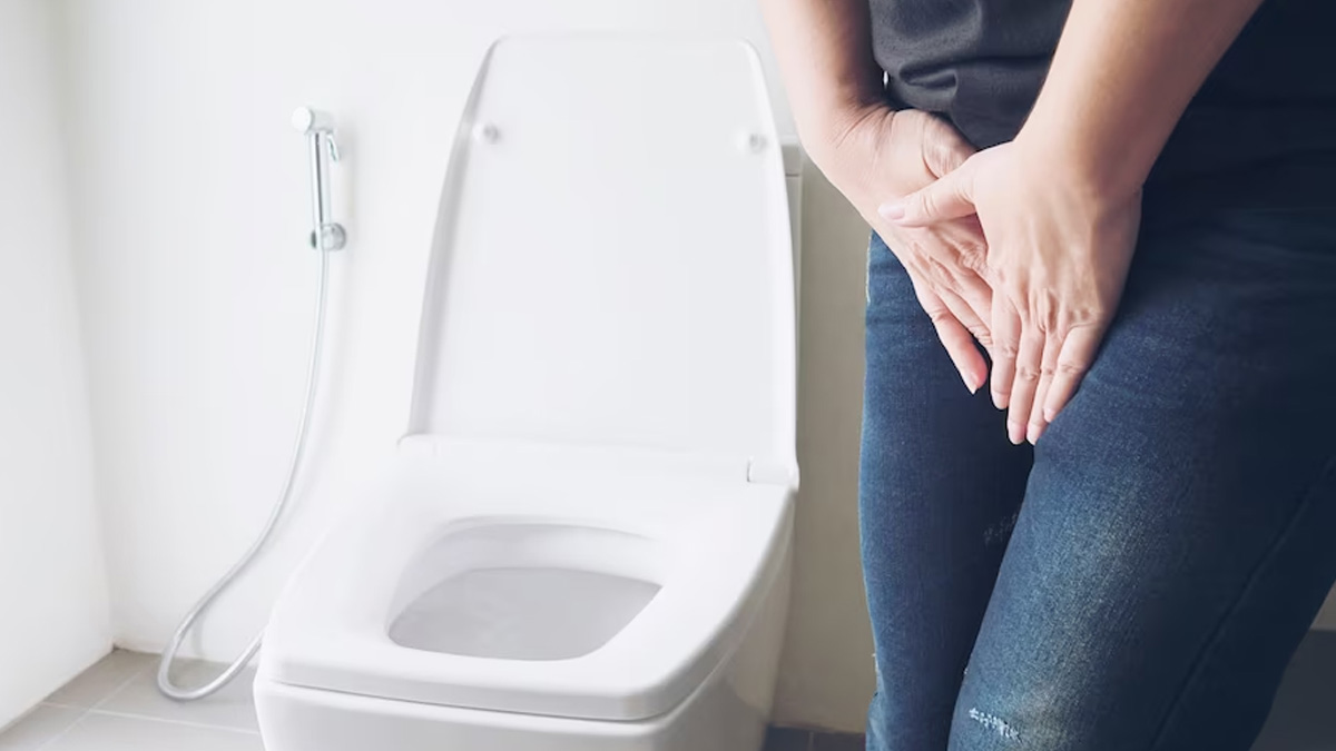 Uống lá đinh lăng có tác dụng gì