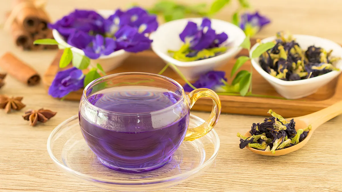 Uống nước hoa đậu biếc có tác dụng gì?