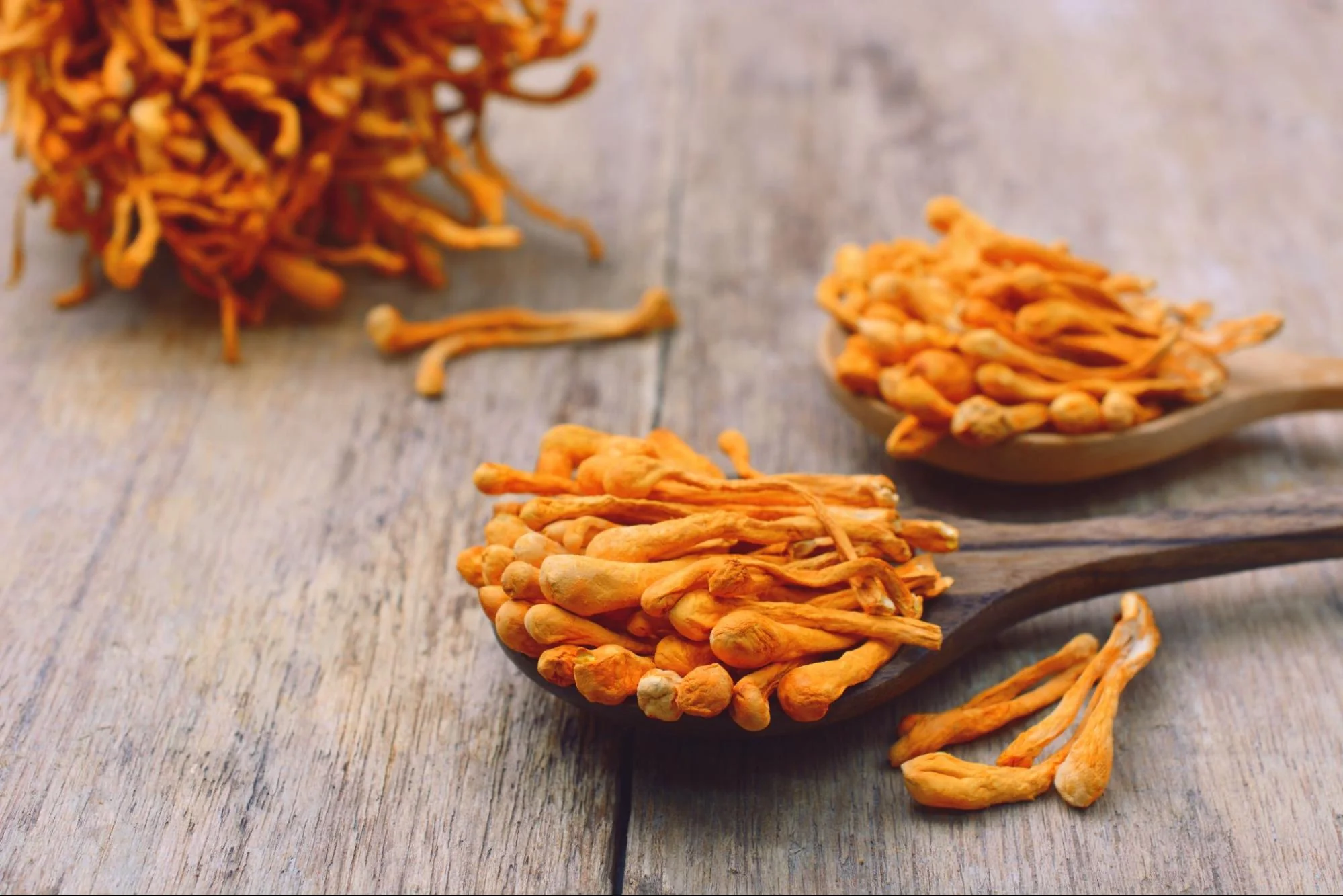Tăng cường khả năng miễn dịch, phòng tránh bệnh tật