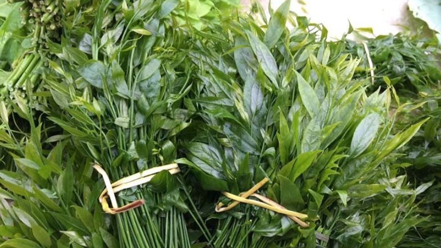 rau mì chính là rau gì