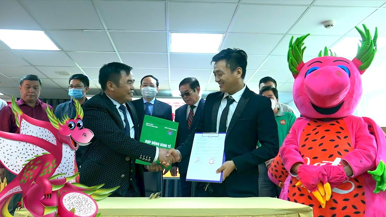 Nhắc đến mì tôm thanh long, ai dùng tiktok chắc hẳn cũng sẽ nhớ ngay ra bài hát đang xâm chiếm tiktok những ngày gần đây. Tuy nhiên, trên trang tiktok của thương hiệu lại chưa có một bài viết cụ thể nào giới thiệu về sản phẩm cũng như hương vị khiến nhiều người tò mò. Để Lorca Việt Nam review mì tôm thanh long cho bạn nhé!