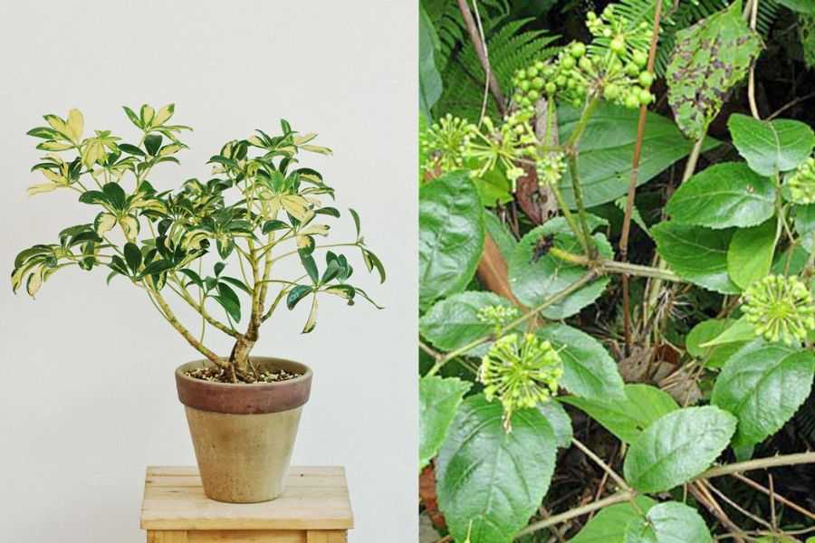 lưu ý khi sử dụng