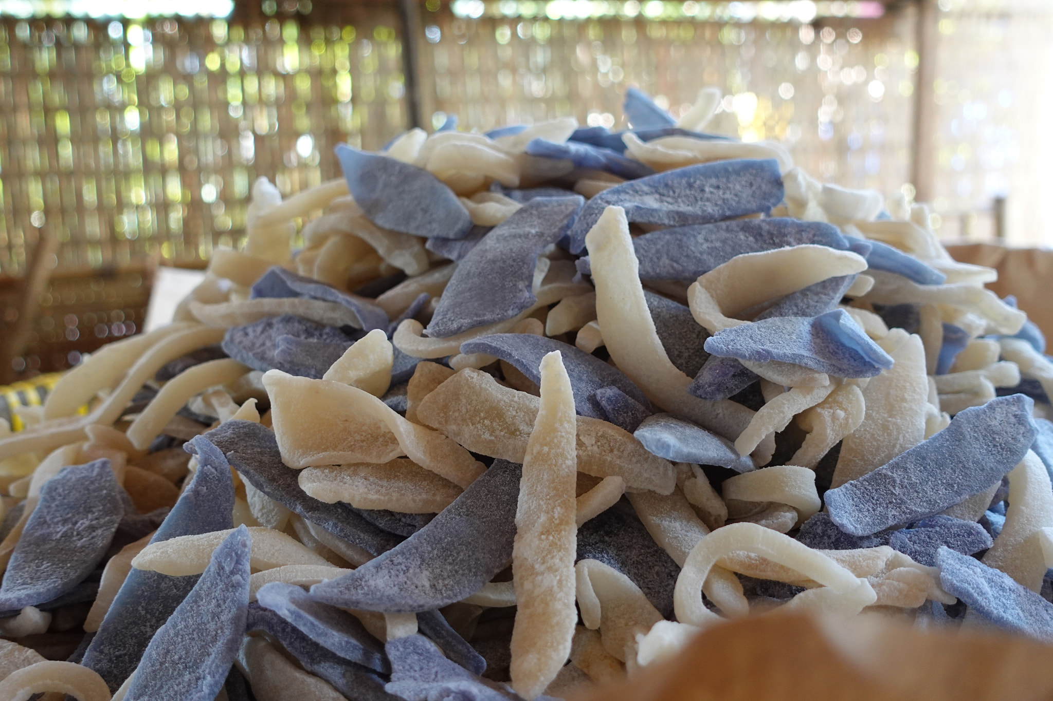 sên dừa lần 2