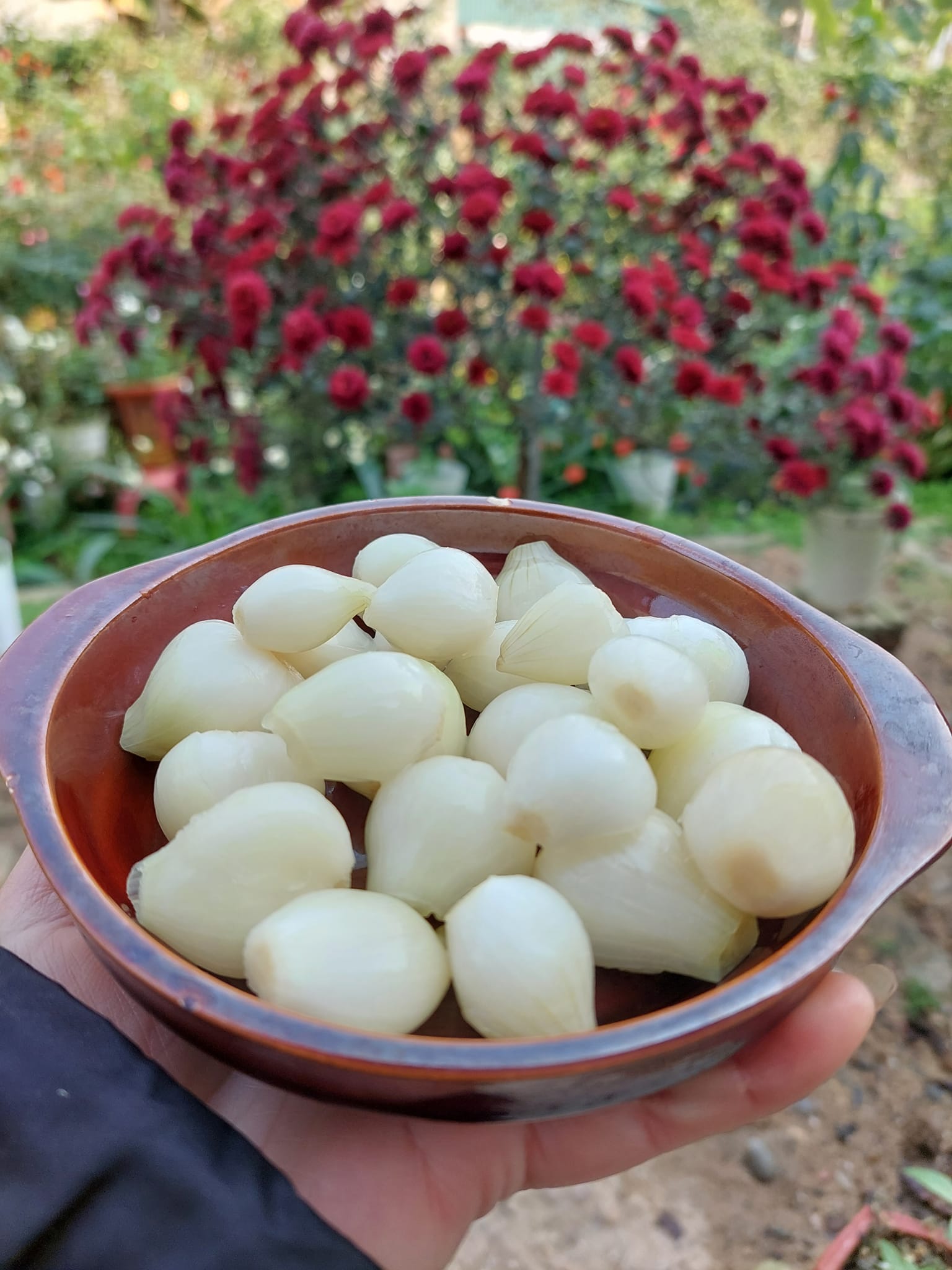 cách muối hành củ tươi ngon nhất