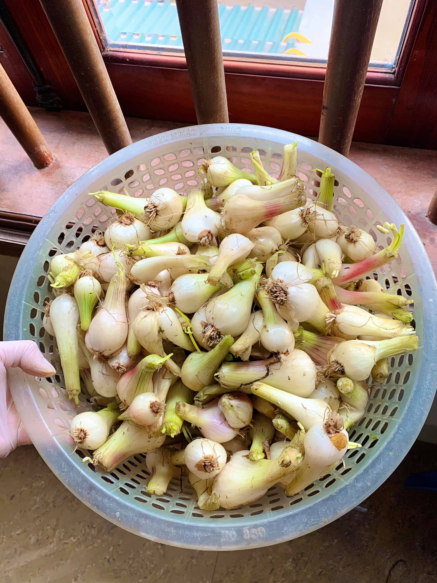 cách muối hành củ tươi ngon nhất