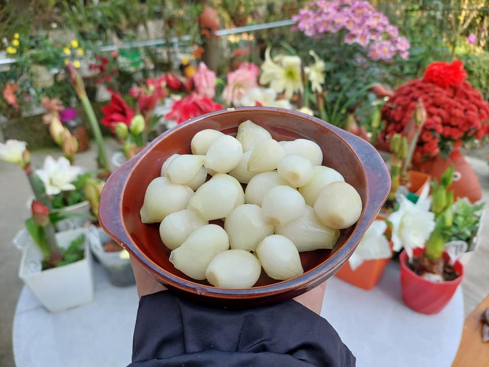 cách muối hành củ tươi ngon nhất