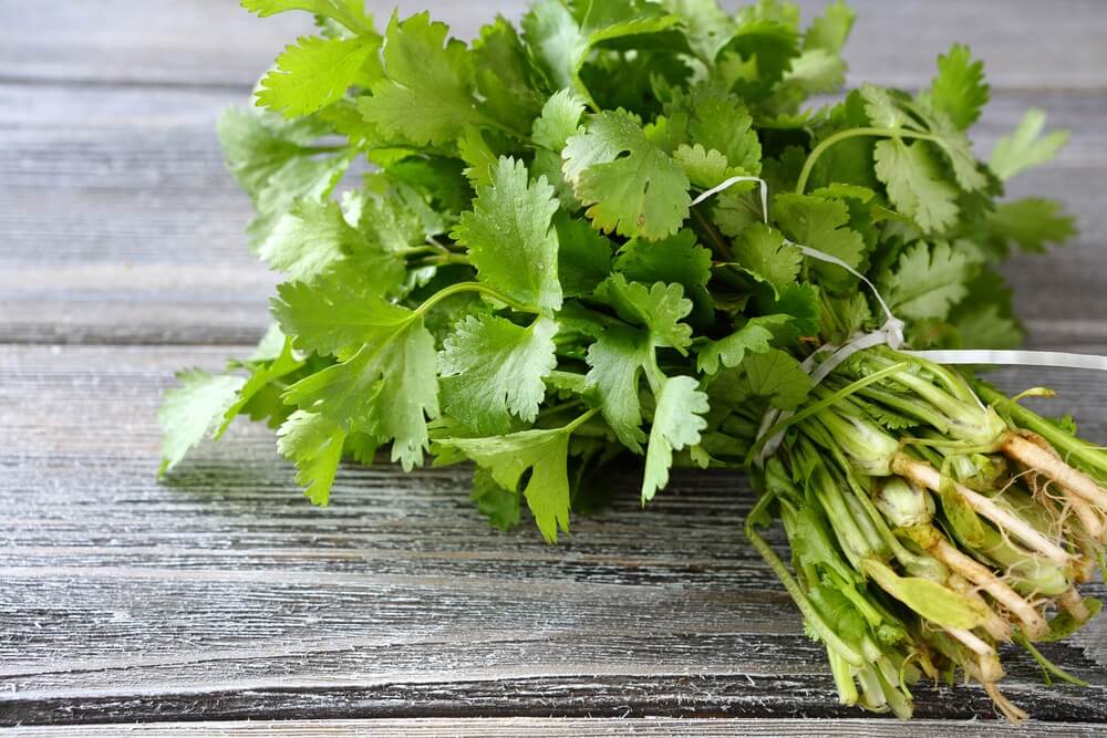 Tăng cường hệ miễn dịch