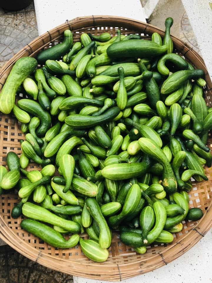 cách làm dưa leo muối