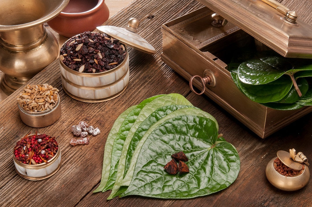 Cách trị viêm xoang mũi dân gian
