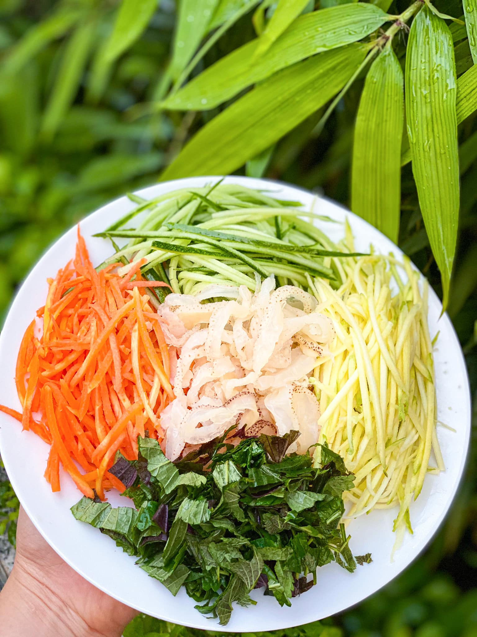 cách làm gỏi sứa xoài