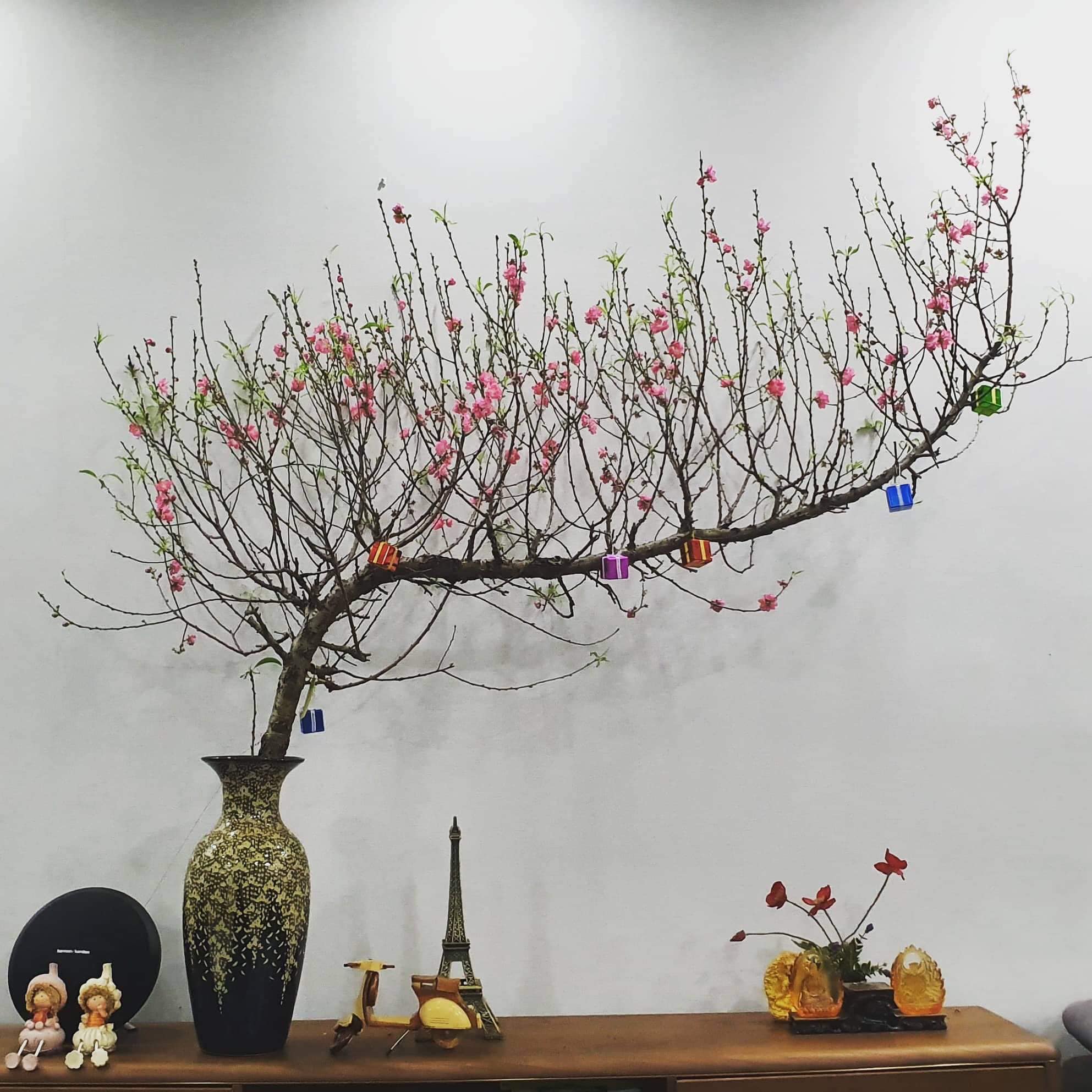 cách làm hoa đào nở nhanh