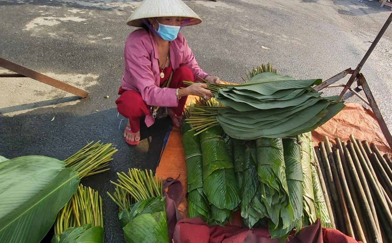 cách bảo quản lá dong tươi lâu