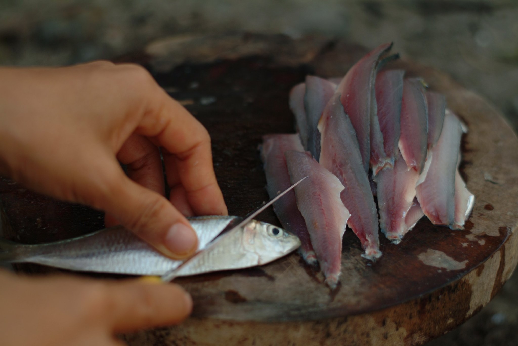 cách làm gỏi cá trích