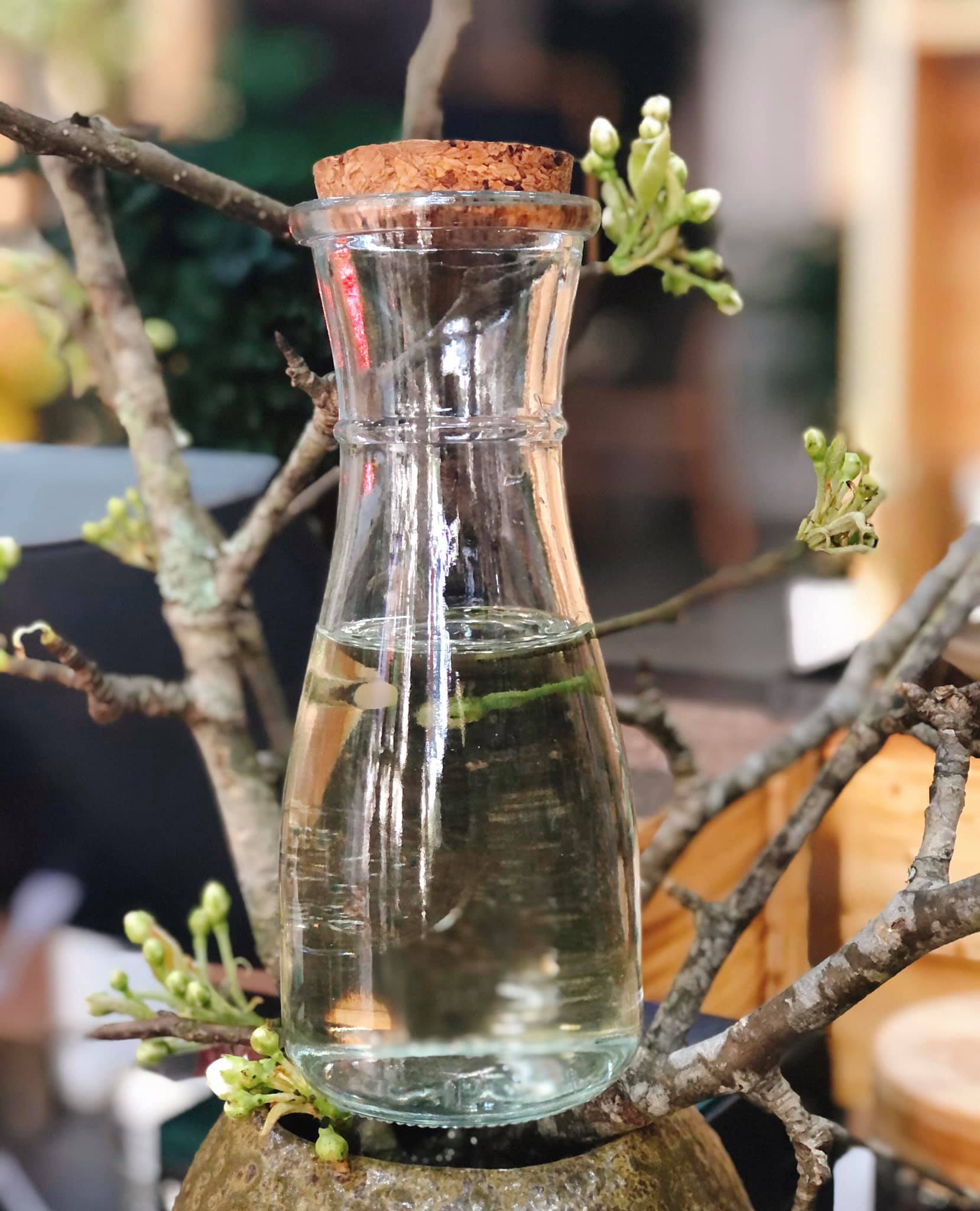 cách làm tinh dầu hoa bưởi