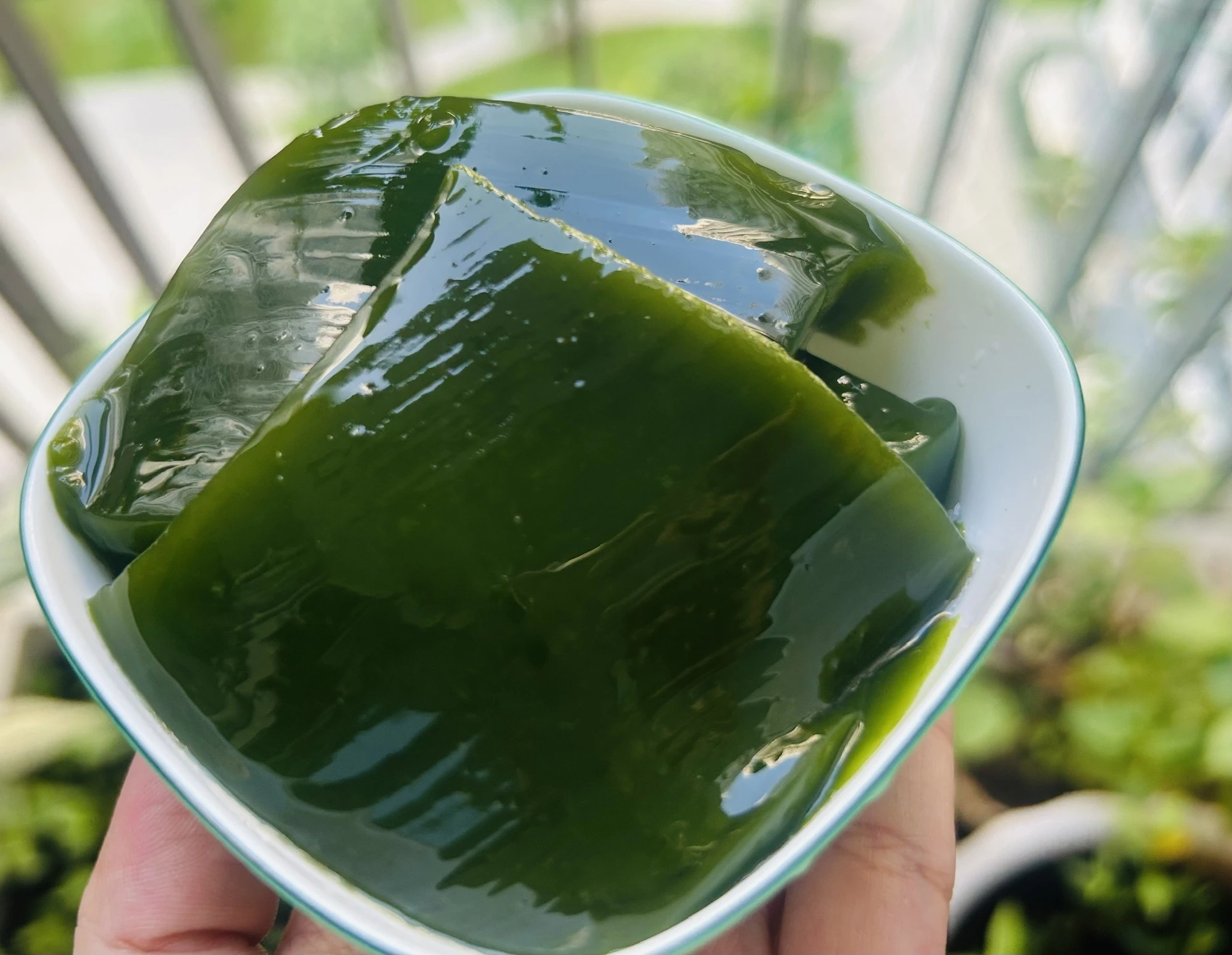 cách nấu thạch sương sâm