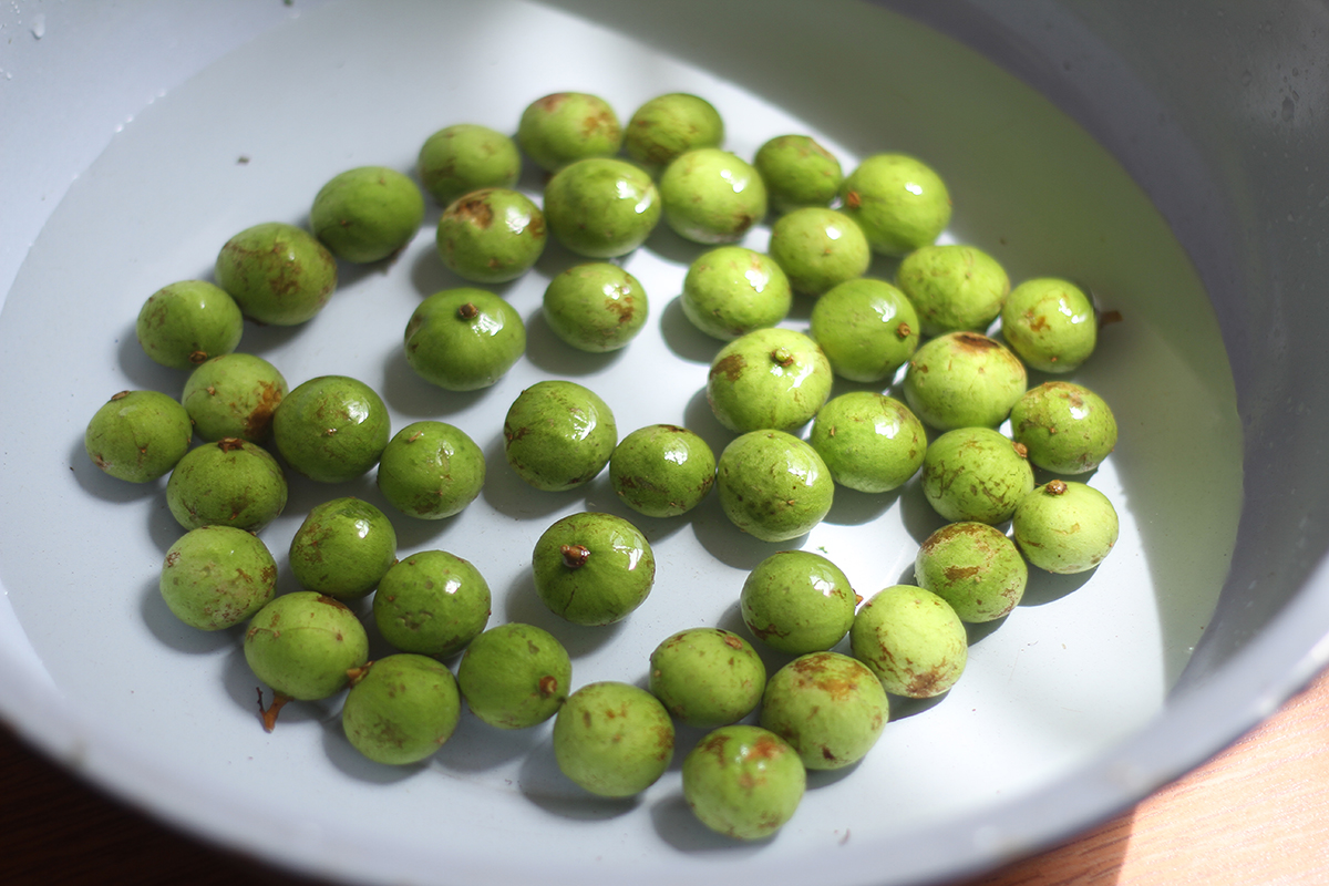 cách làm sấu ngâm mắm