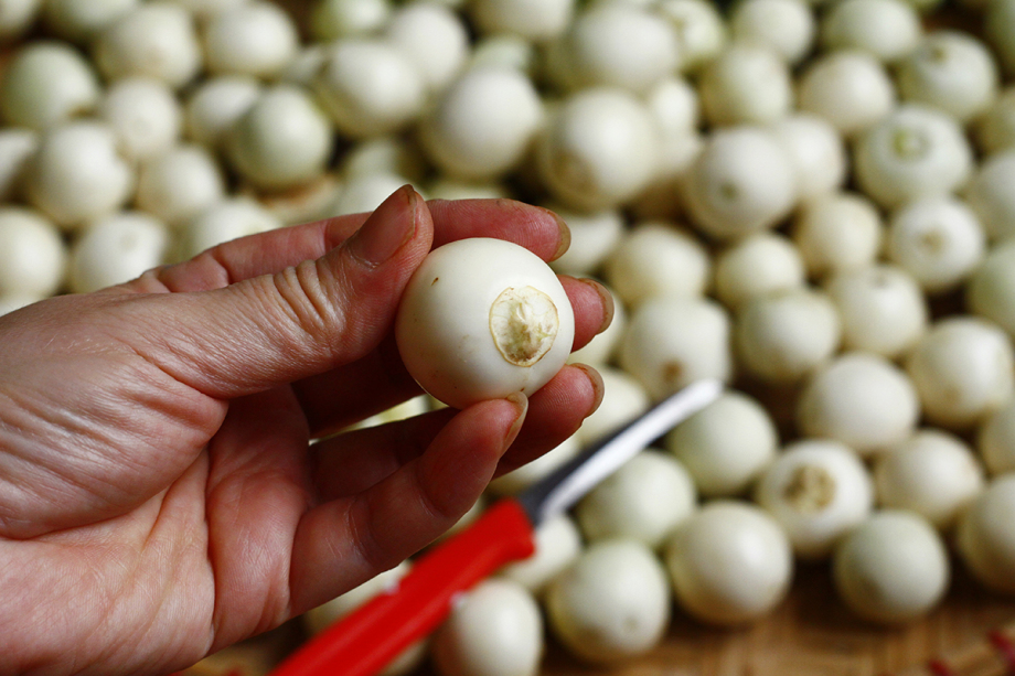 cách làm cà muối