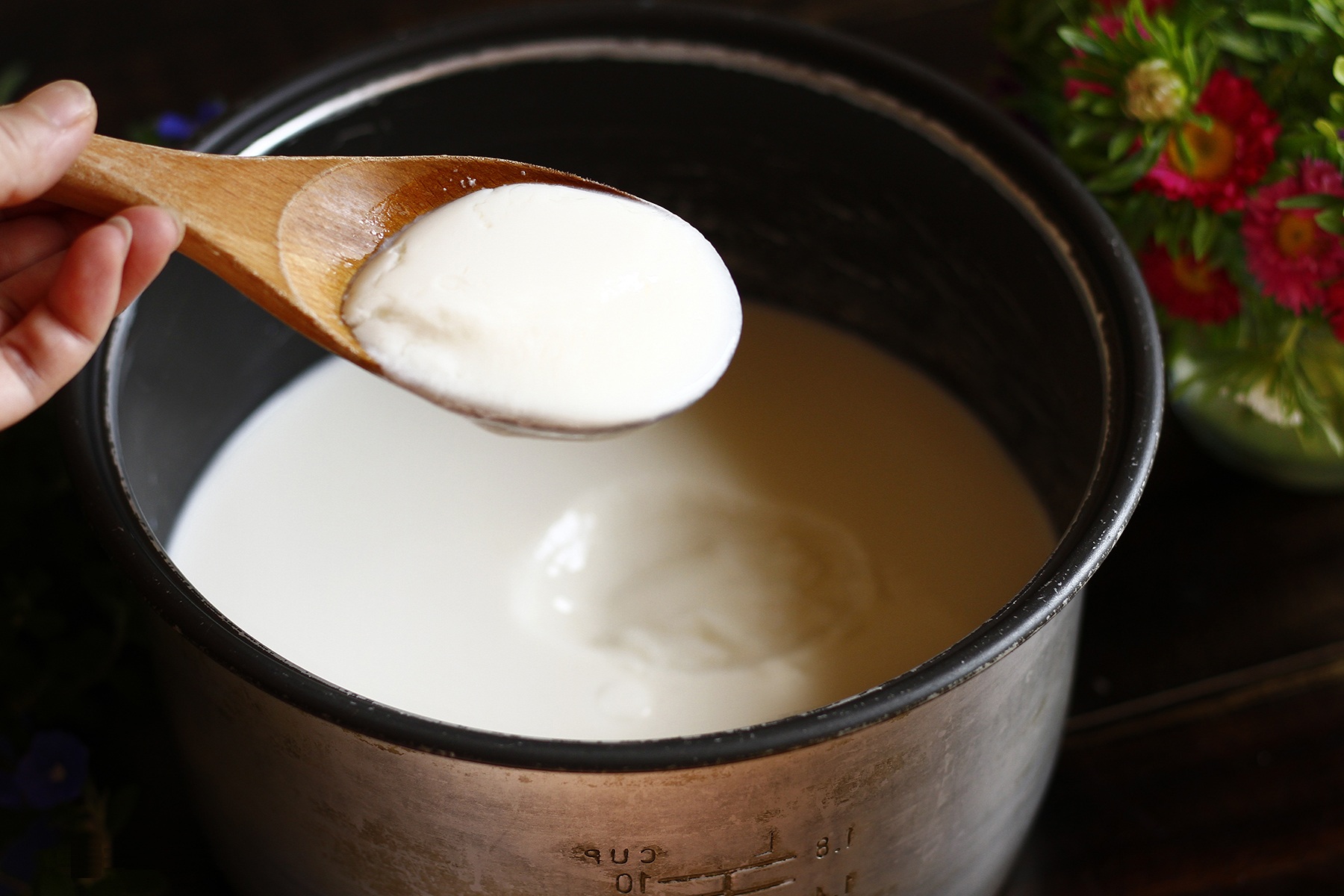 cách làm sữa chua dẻo  bằng nồi cơm điện