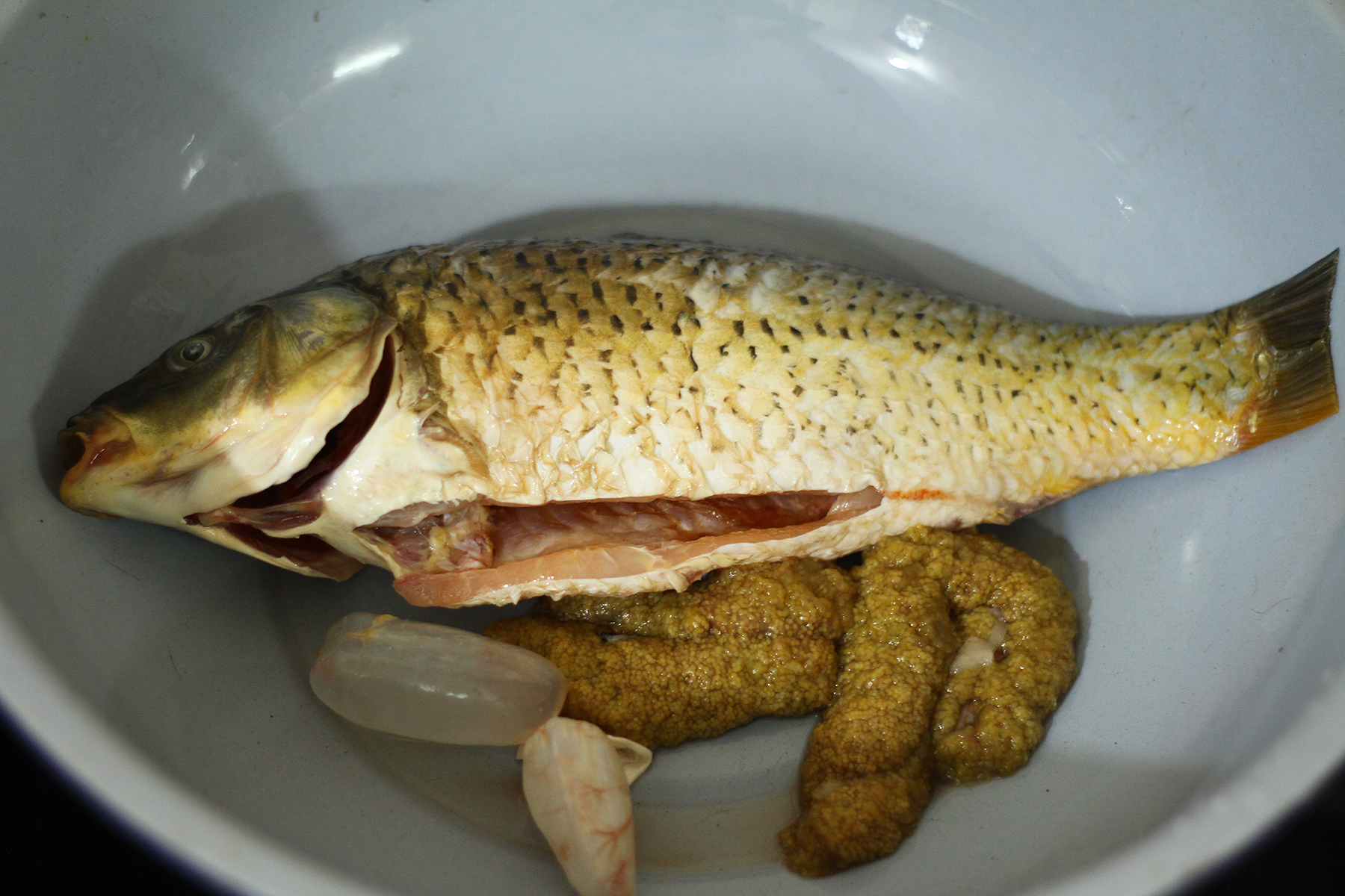 cách nấu cháo cá chép