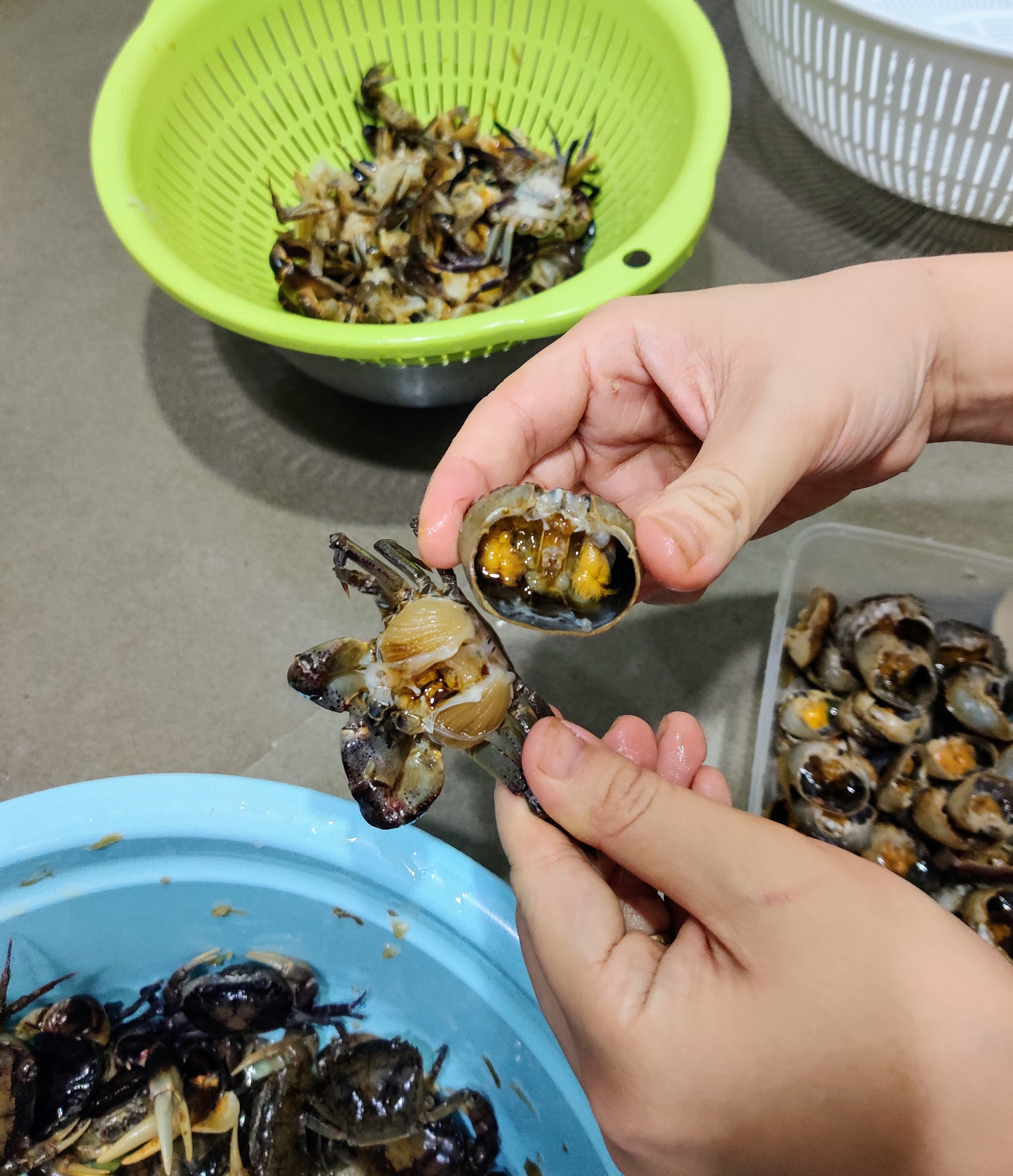 cách nấu bún riêu tóp mỡ