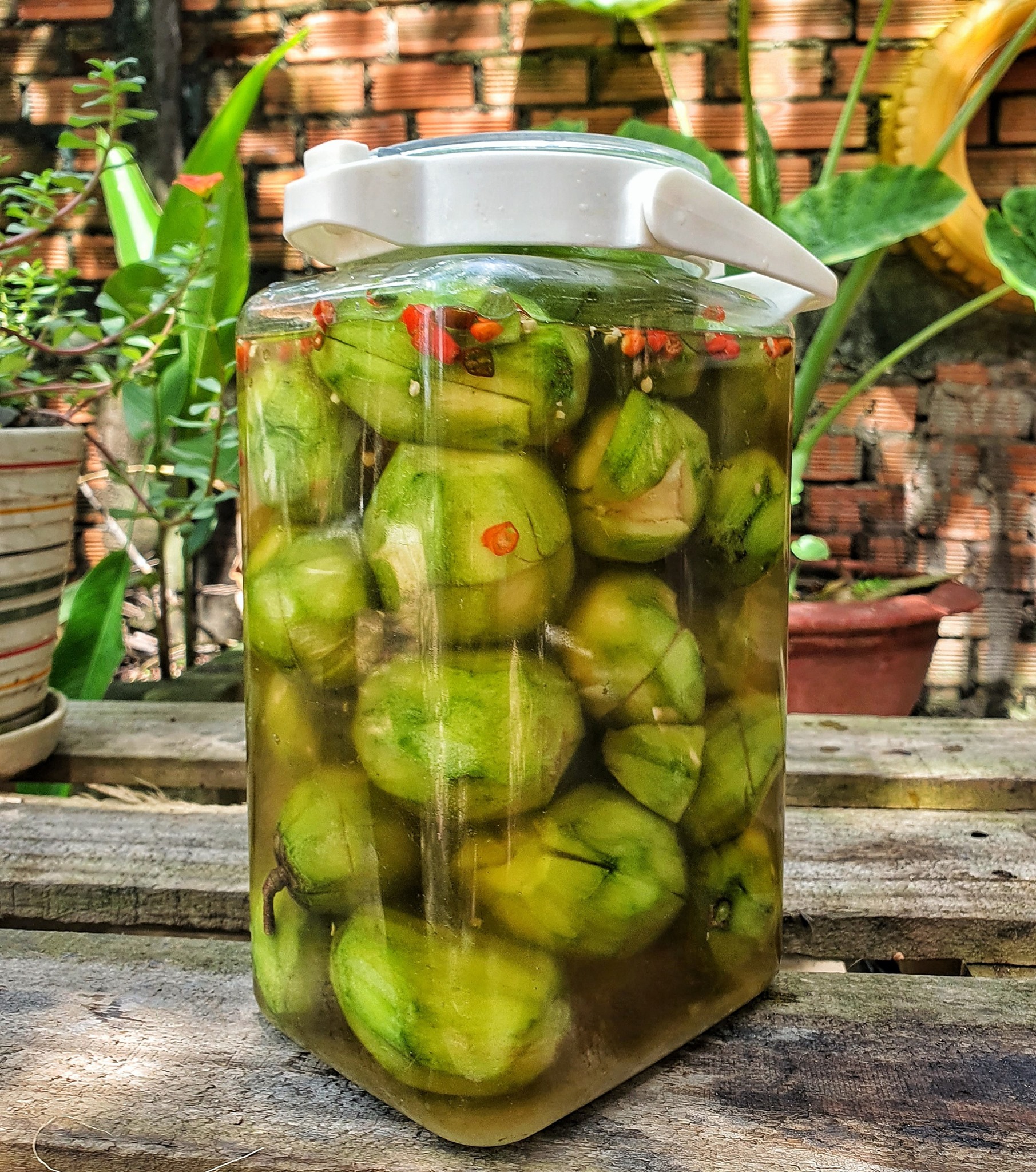 cách làm cóc ngâm mắm đường