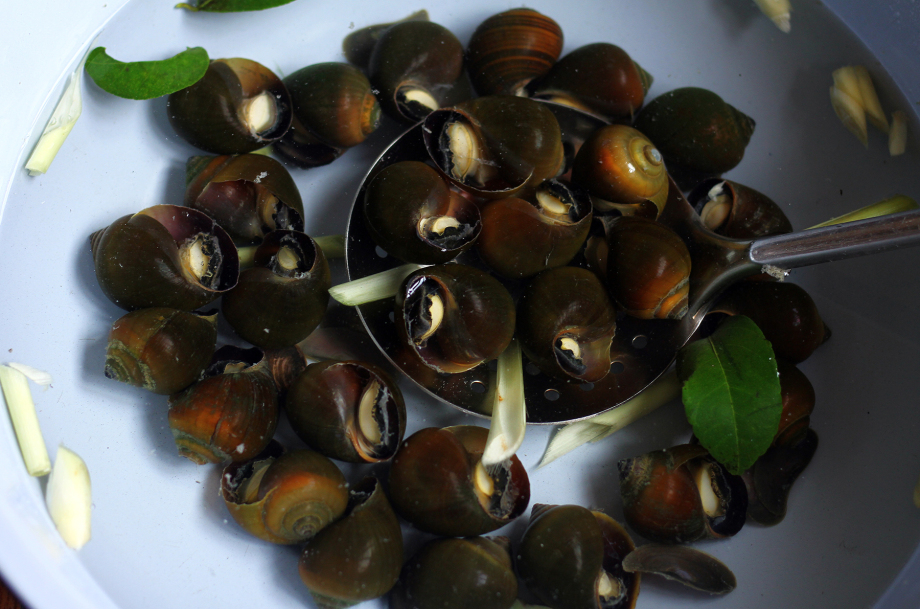 cách nấu lẩu ốc