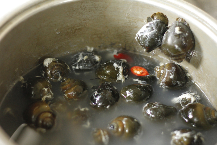 cách nấu bún ốc miền Bắc