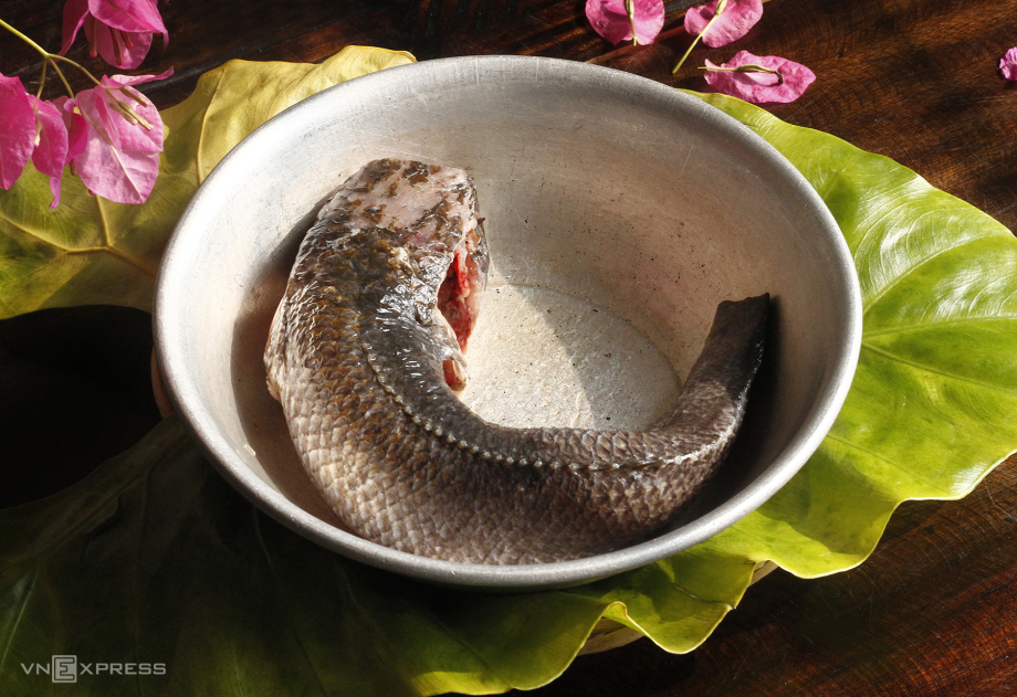 cách làm bún cá Châu Đốc