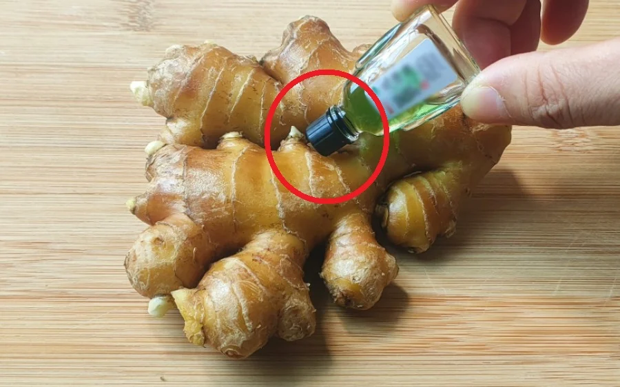 nhỏ dầu gió vào gừng tươi có tác dụng gì