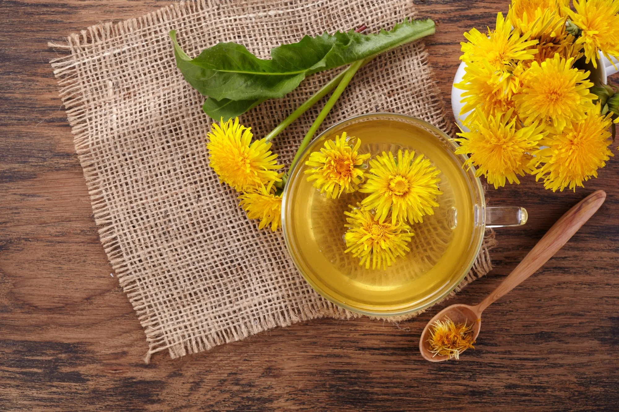 trà bồ công anh có tác dụng gì