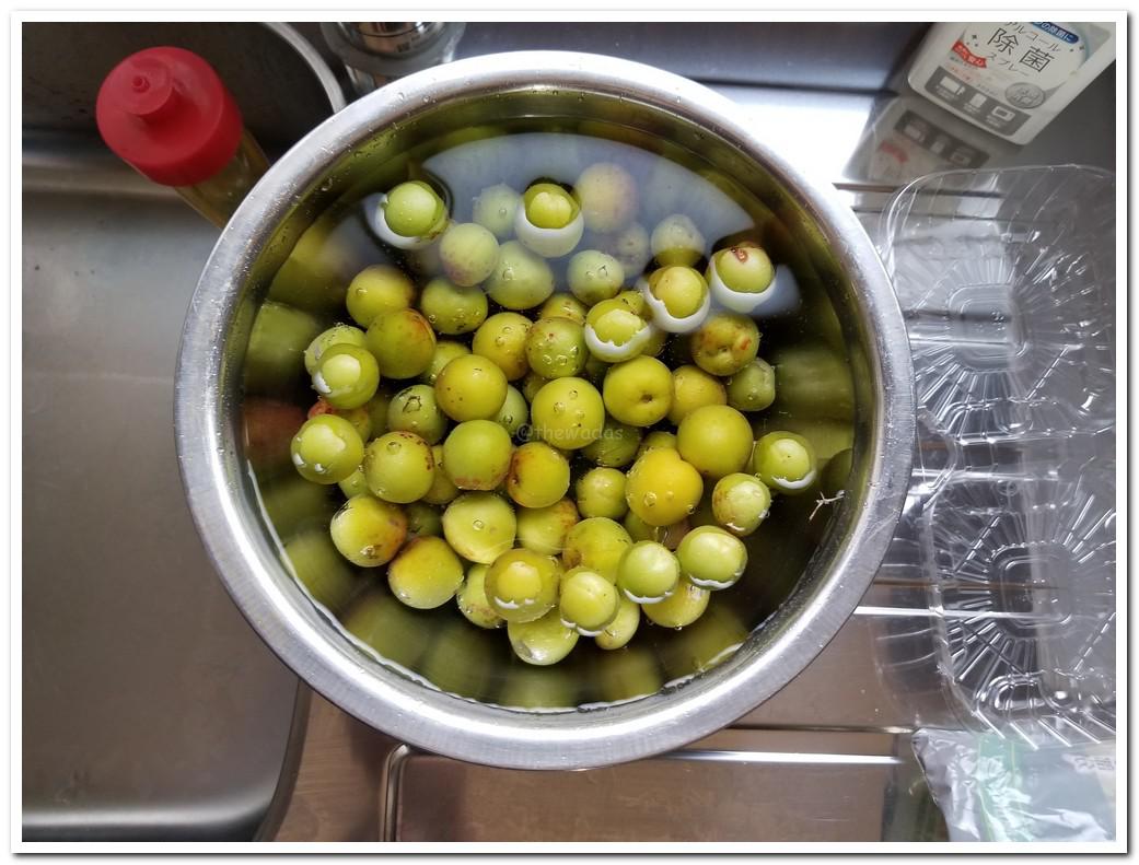 Cách ngâm rượu mơ Nhật