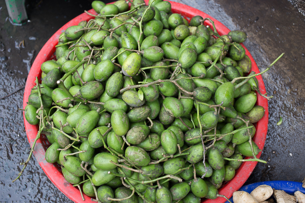 nước ép cóc có tác dụng gì