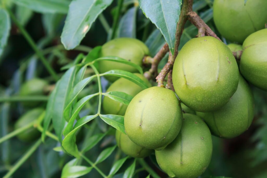 lưu ý