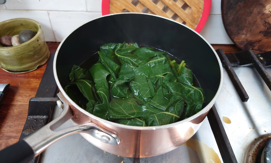 lá sung nấu nước uống trị bệnh gì