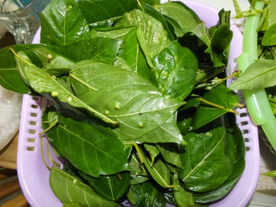 giảm mỡ máu