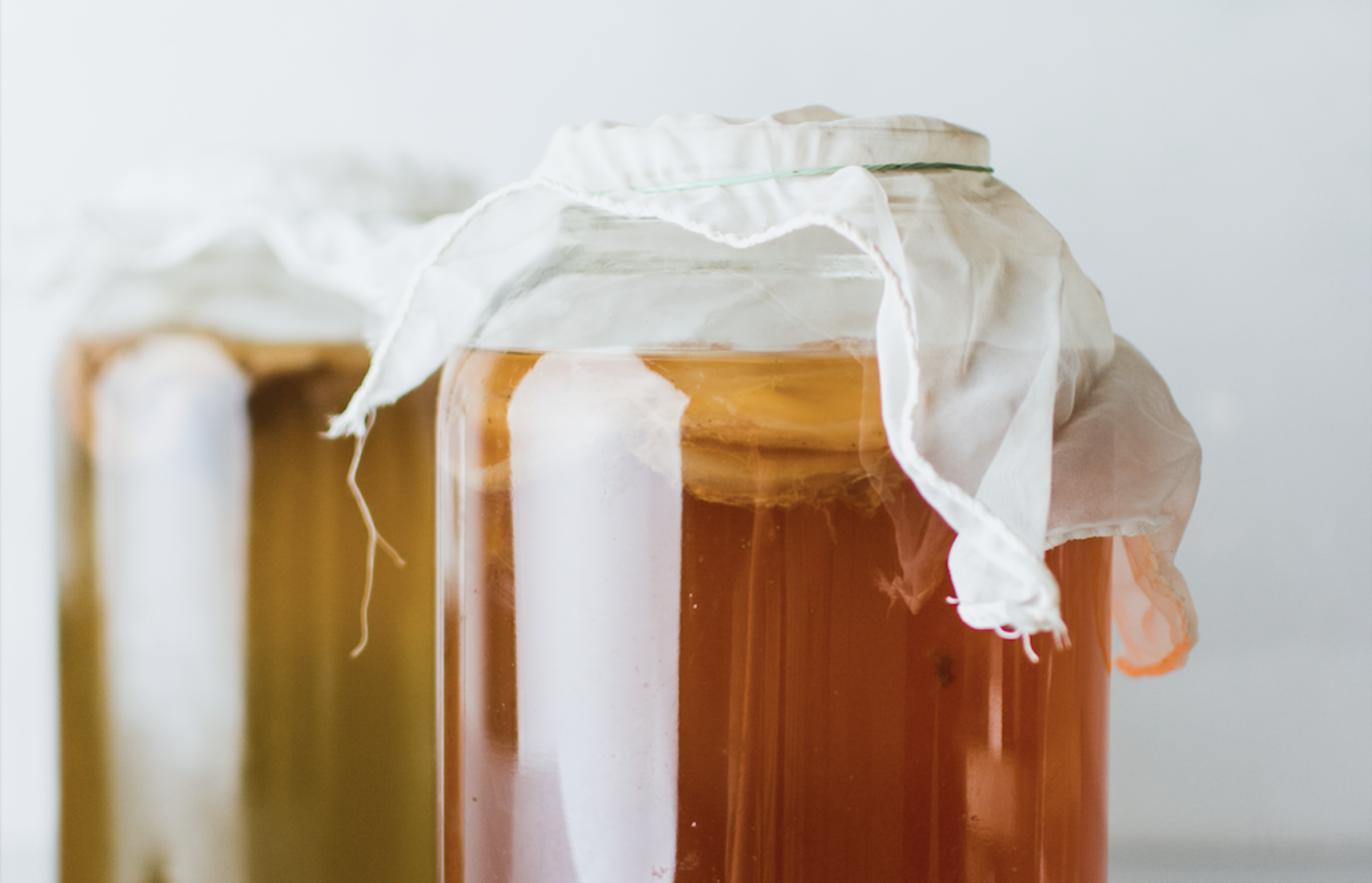tác dụng của trà kombucha