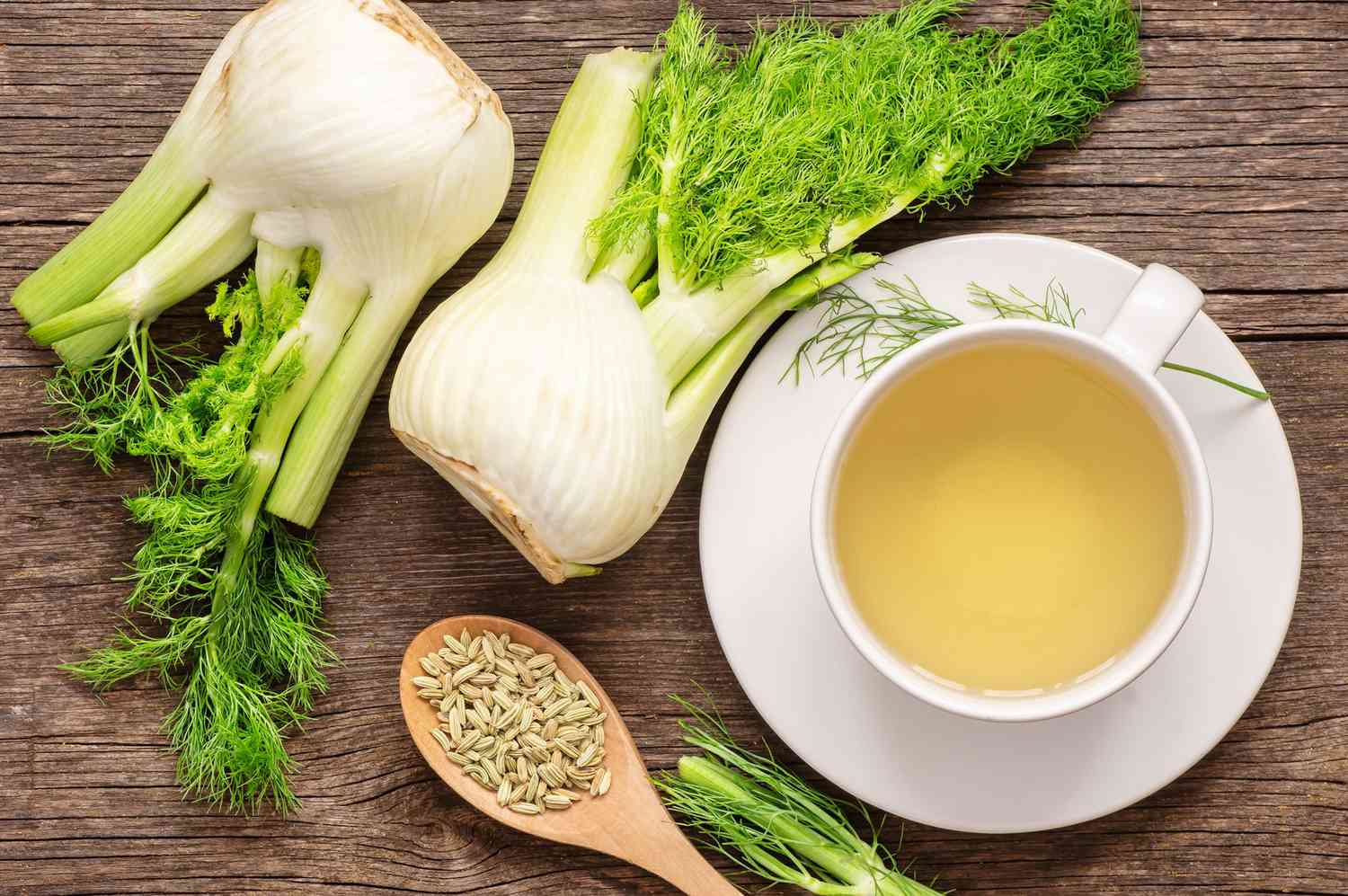 cây thì là nấu nước uống có tác dụng gì