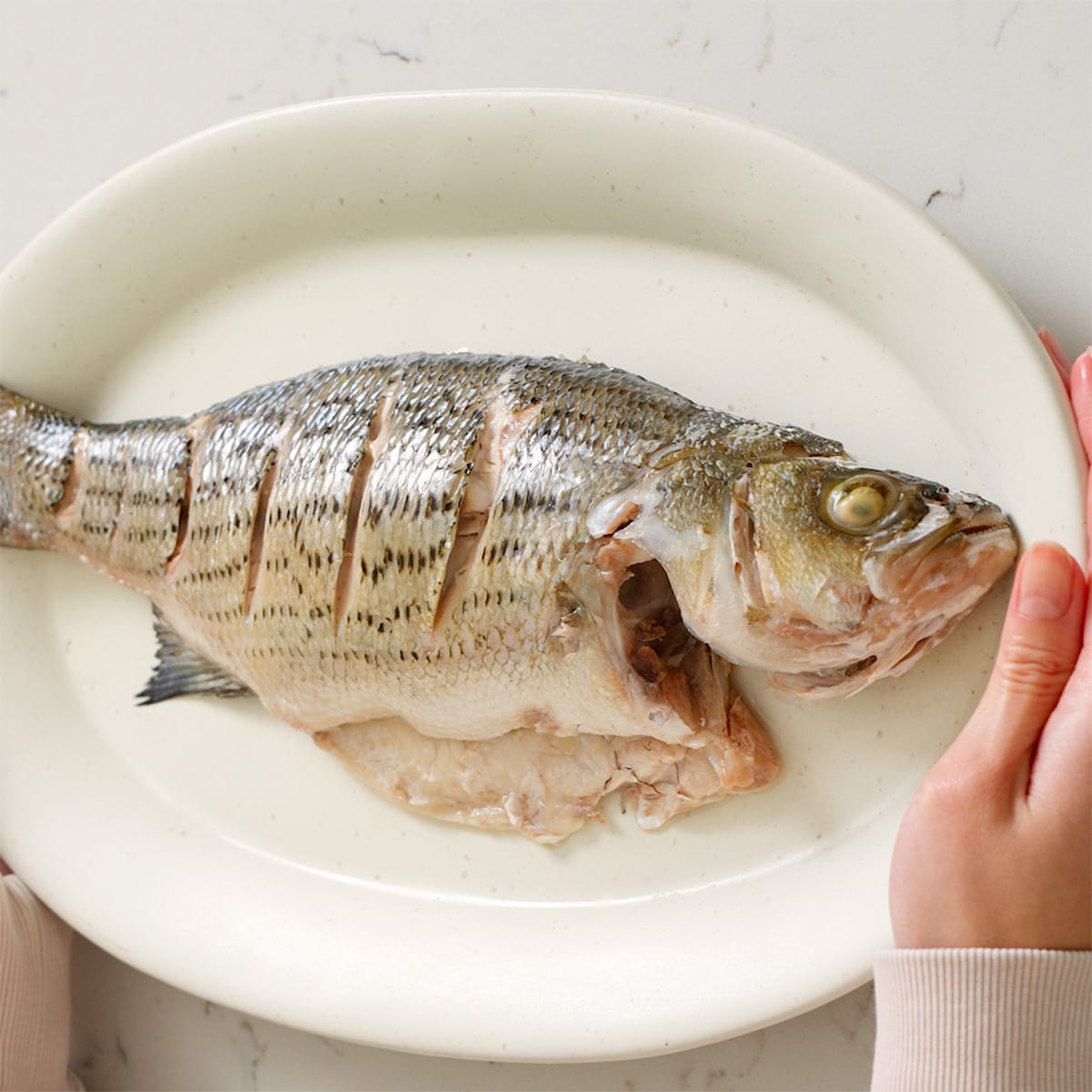 cách làm cá chẽm hấp Hồng Kông